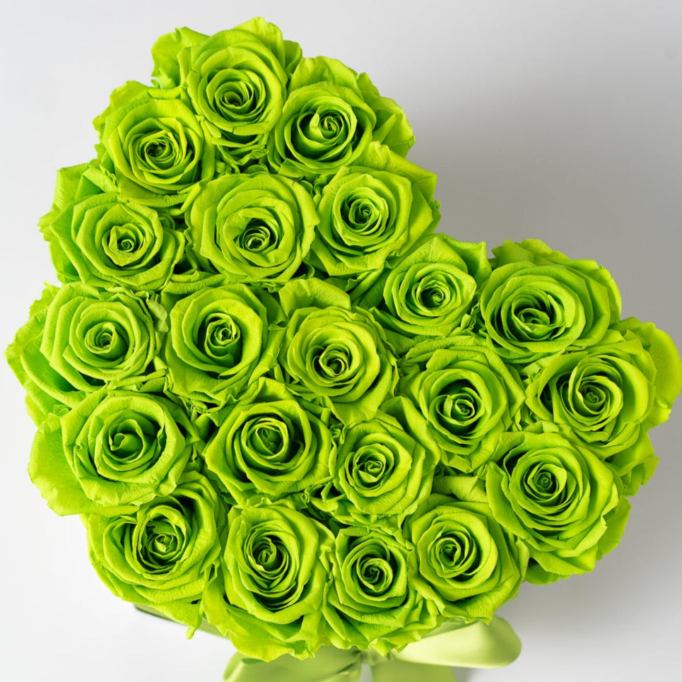 Green Rose Of Beautiful Flowers Most Birds On HD wallpaper | Pxfuel